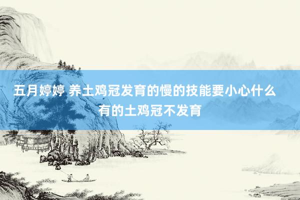 五月婷婷 养土鸡冠发育的慢的技能要小心什么   有的土鸡冠不发育