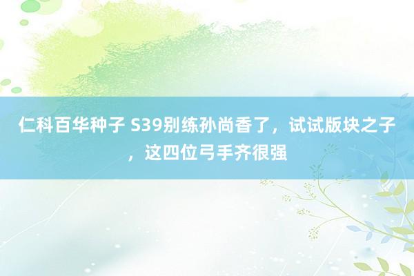 仁科百华种子 S39别练孙尚香了，试试版块之子，这四位弓手齐很强