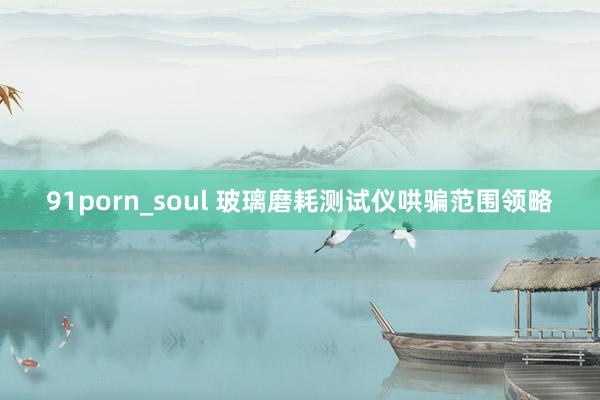 91porn_soul 玻璃磨耗测试仪哄骗范围领略