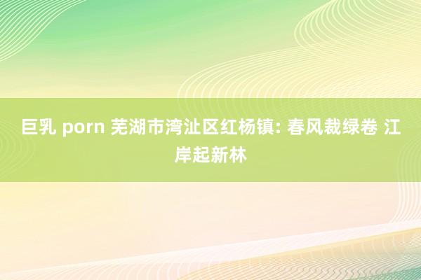 巨乳 porn 芜湖市湾沚区红杨镇: 春风裁绿卷 江岸起新林