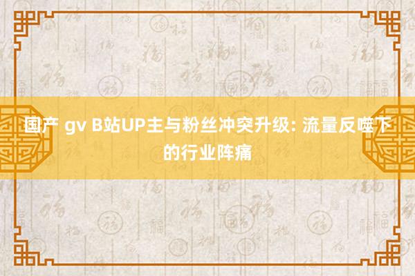 国产 gv B站UP主与粉丝冲突升级: 流量反噬下的行业阵痛