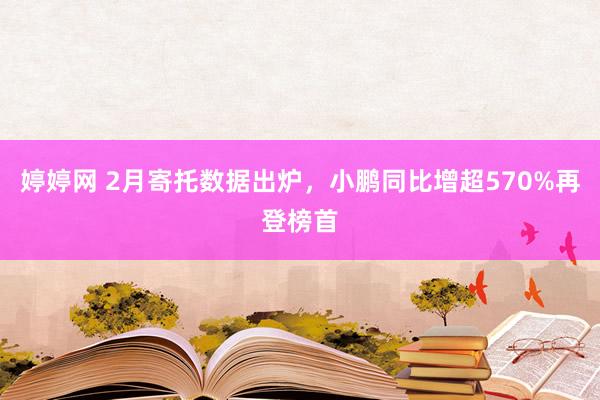 婷婷网 2月寄托数据出炉，小鹏同比增超570%再登榜首